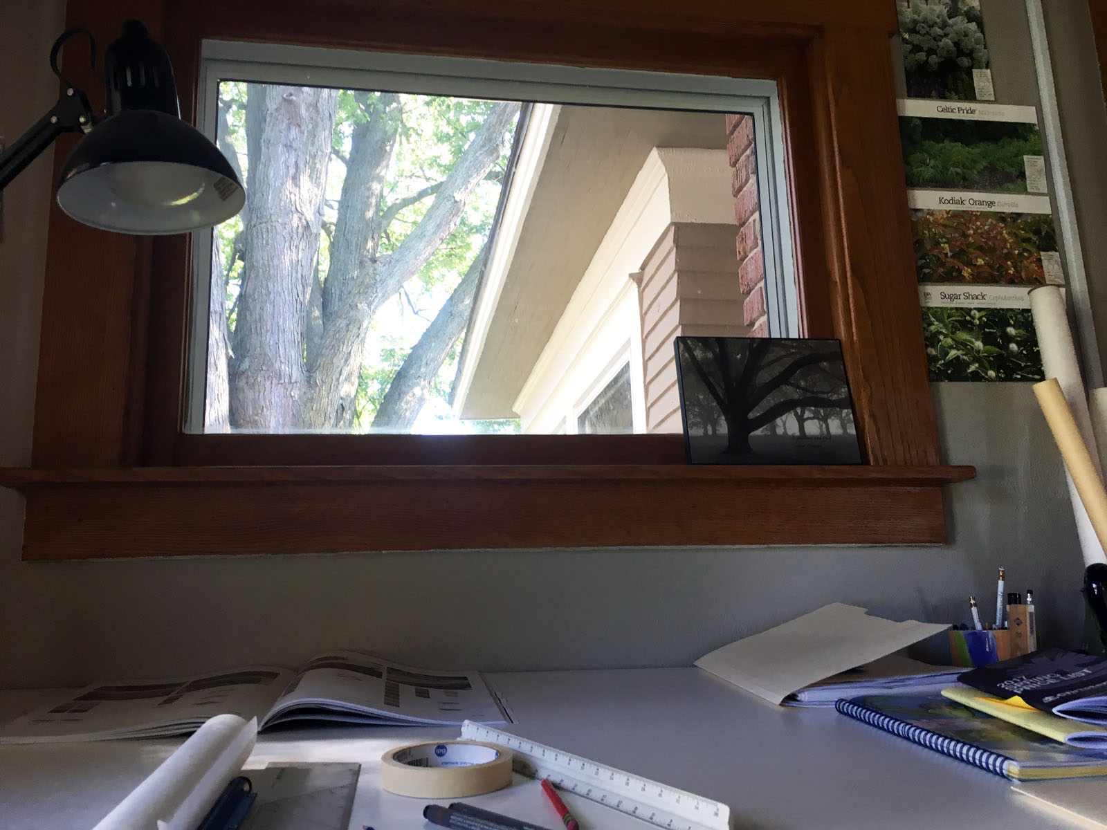 Window GlareSun Elements Studio