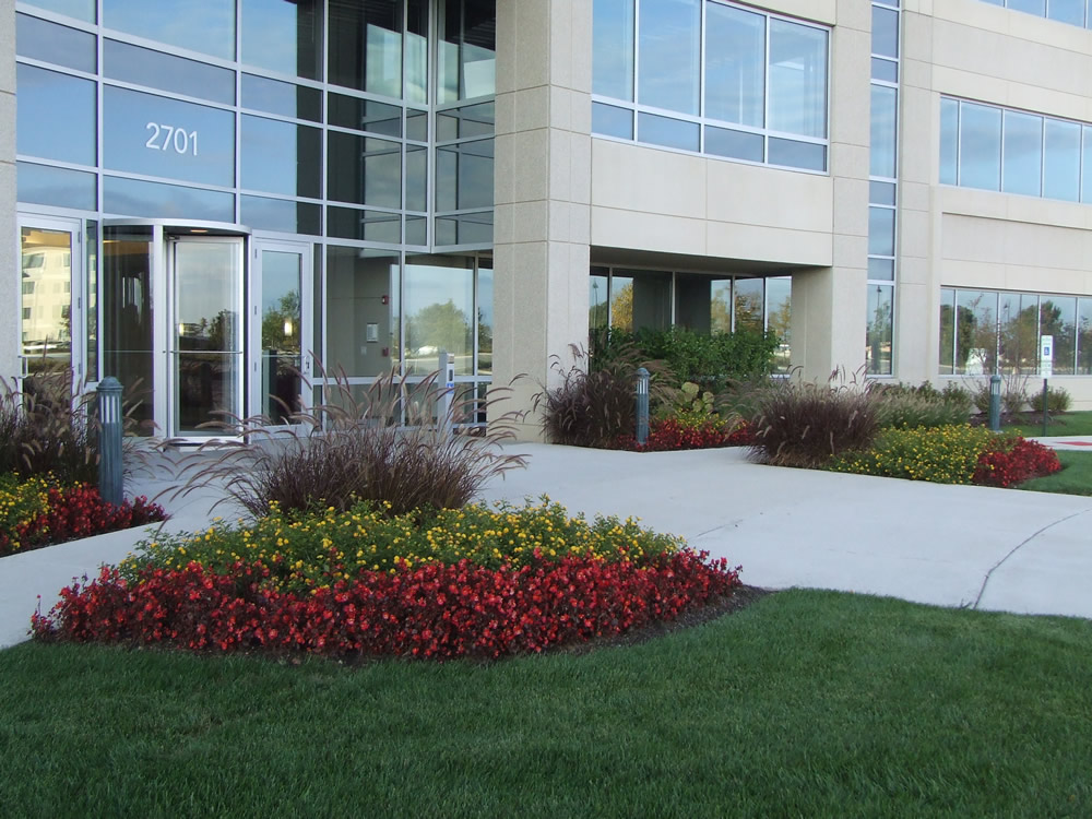 Professional Office Landscape Plan Elements Studio