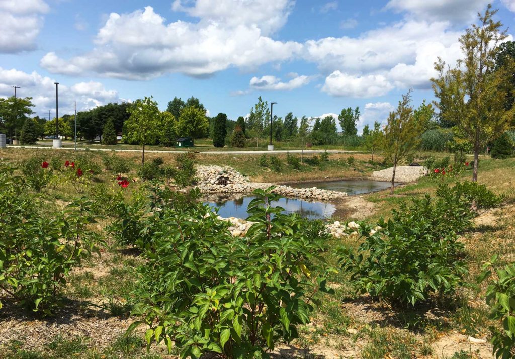 Stormwater filtration.